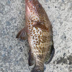 ショアジギング