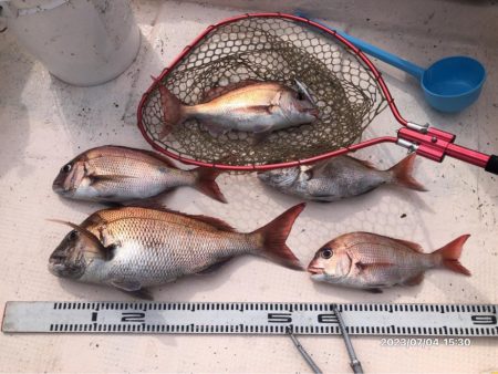 7/4 伊島沖　タイラバ　ジギング