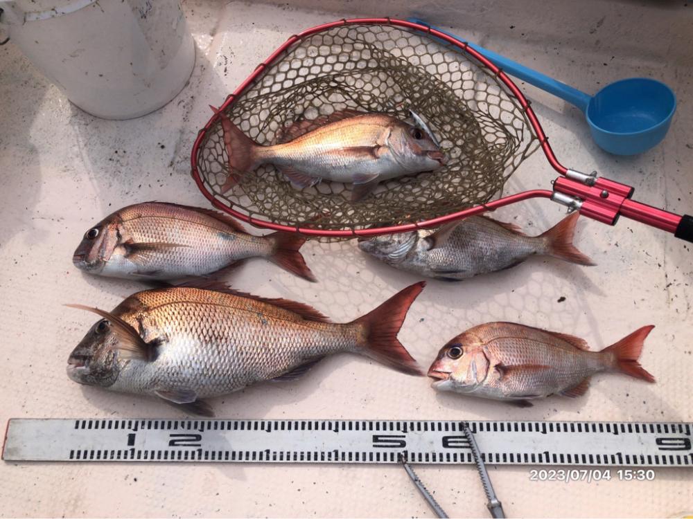 7/4 伊島沖　タイラバ　ジギング