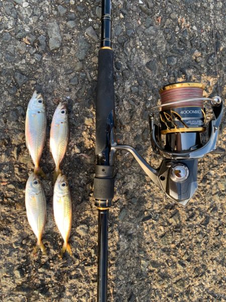 1年ぶりのサビキ