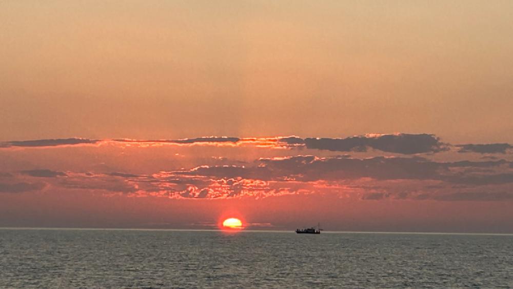 激渋イカメタル