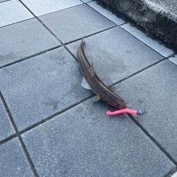 久しぶりのマリーナシティ