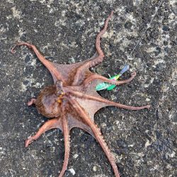 ⭐︎初のキロアップ