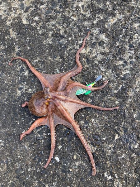 ⭐︎初のキロアップ