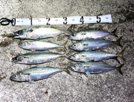 8割位の方がボウズでした💦…