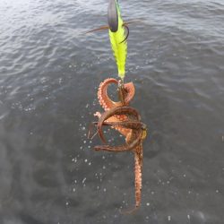 オクトパッシング