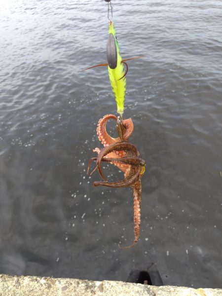 オクトパッシング