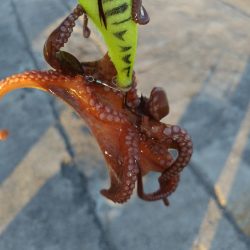 オクトパッシング