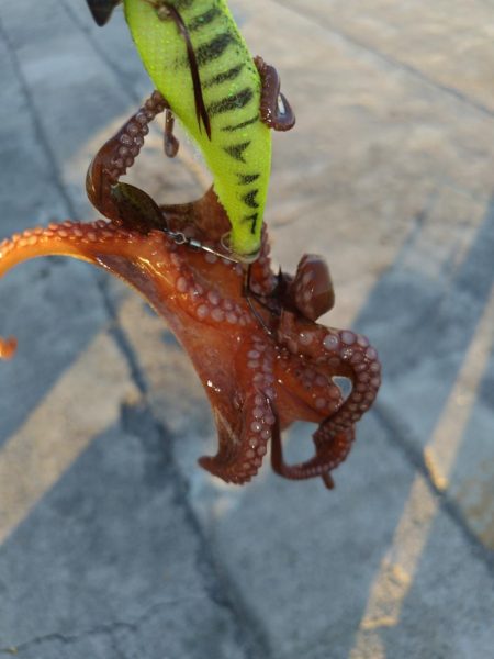 オクトパッシング