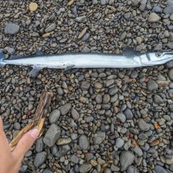 サーフでショアジギング(初投稿)