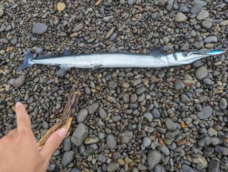 サーフでショアジギング(初投稿)