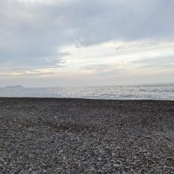 サーフからツバス