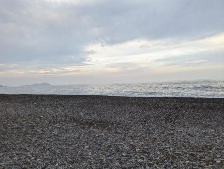 サーフからツバス