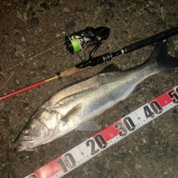 雷鳴で短時間強制終了でしたが