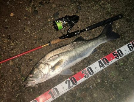 雷鳴で短時間強制終了でしたが