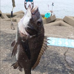 今日は、ふかせ釣り第7戦💦