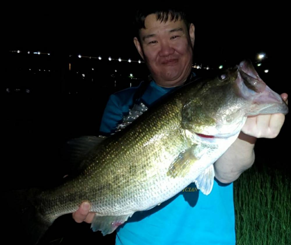 やっと出会えた