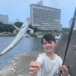 和歌山白浜の堤防で釣り