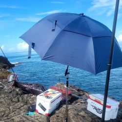 和歌山大引の磯でフカセ釣り