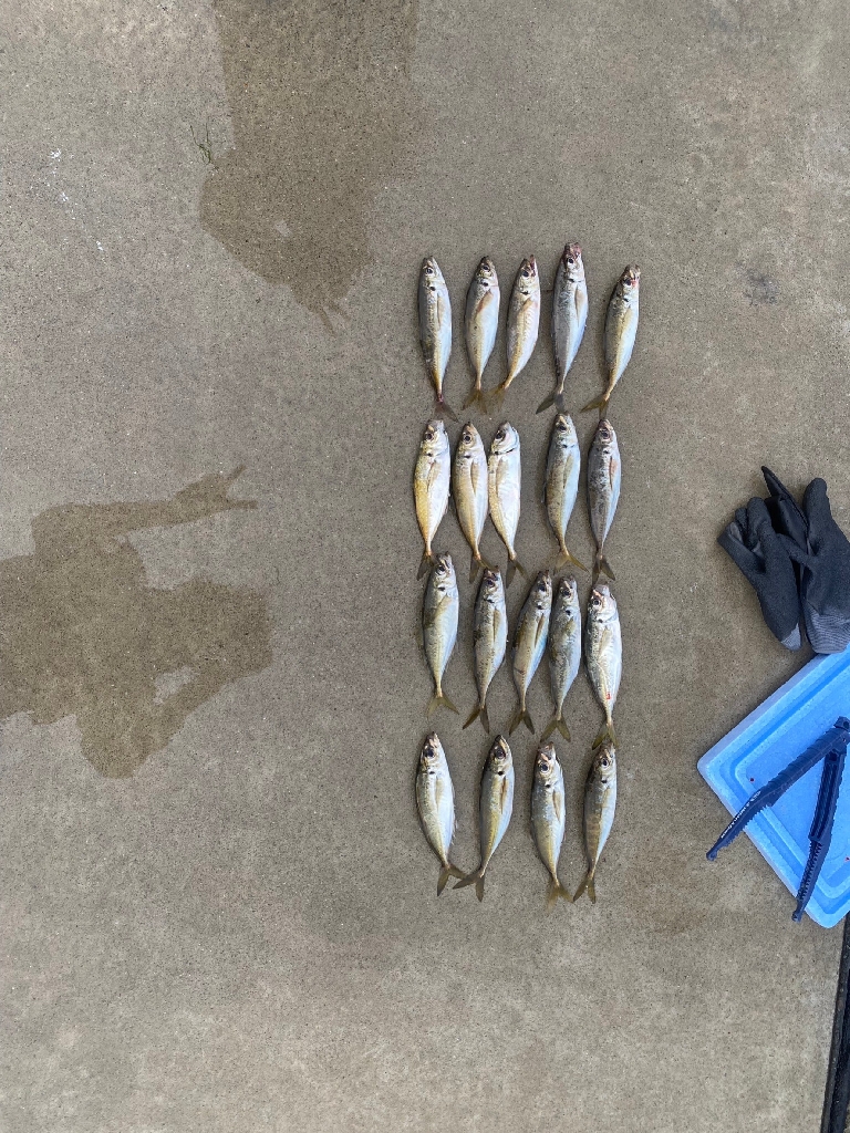 王道のパターン