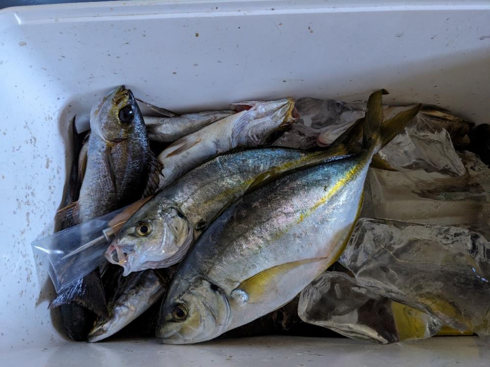 オオカミに逃げられました