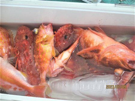 キントキ、鬼カサゴ　釣れました(^_-)-☆