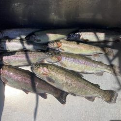 釣食浪漫 ~Just a man in love~