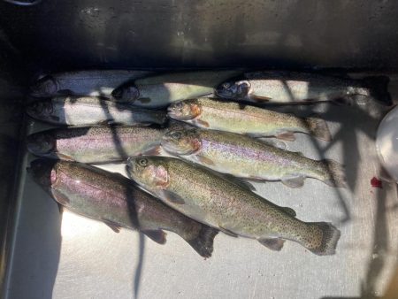 釣食浪漫 ~Just a man in love~