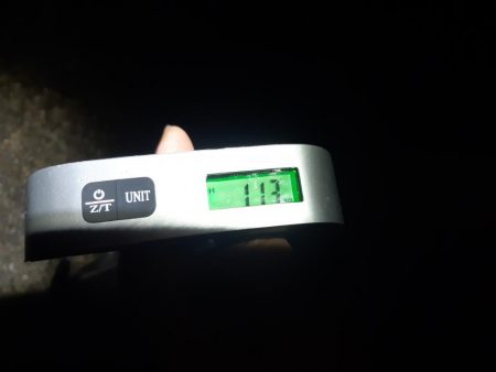 夜の干潮狙いで行ってきました。