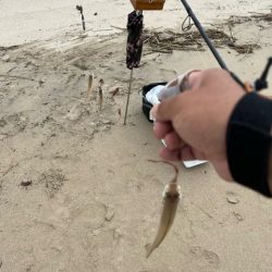 豪雨後の状況を確認したくて投げに行ってきました
