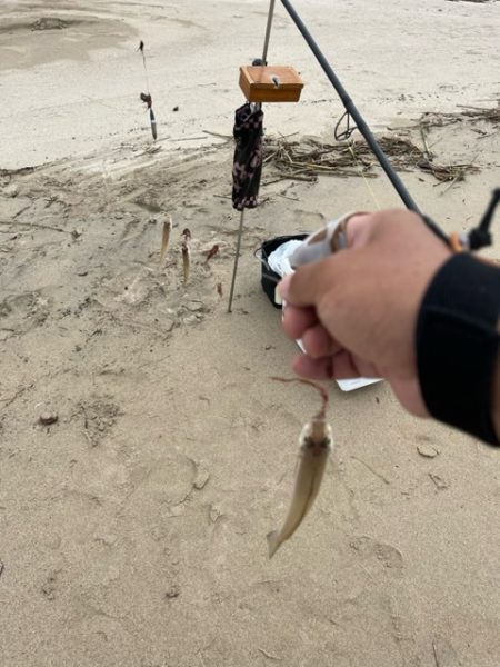豪雨後の状況を確認したくて投げに行ってきました