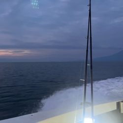 鹿児島錦江湾のテンヤマダイ