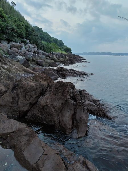 ロックフイッシュ&シーバス