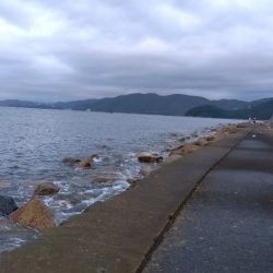 苅屋海岸のキス釣り