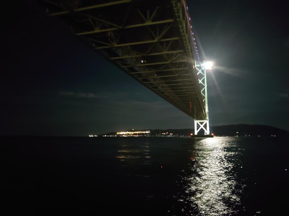 大サバ釣り終盤戦🎣