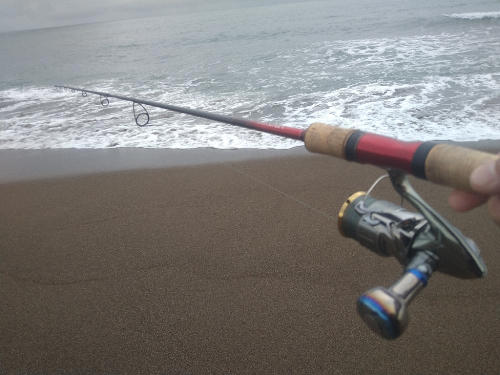 サーフで極小青物