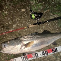 すごいたいこうの70アップきました。