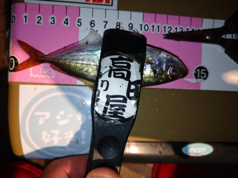 豆アジリベンジ