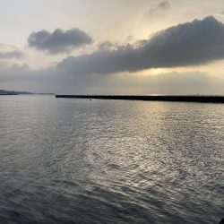 今年から2回目の浦港