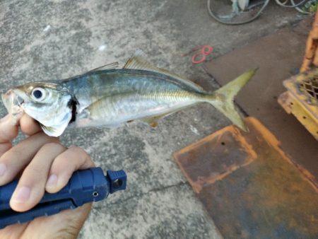 パターン変わったのか？