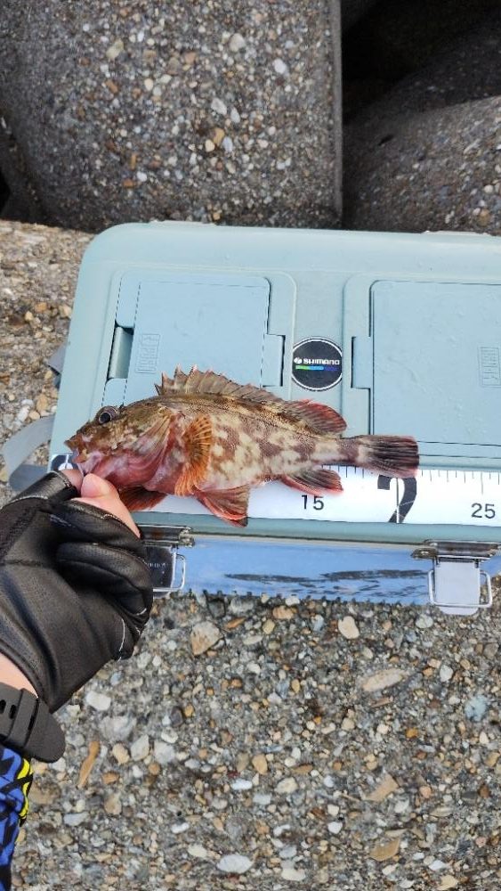 ハマりました♪