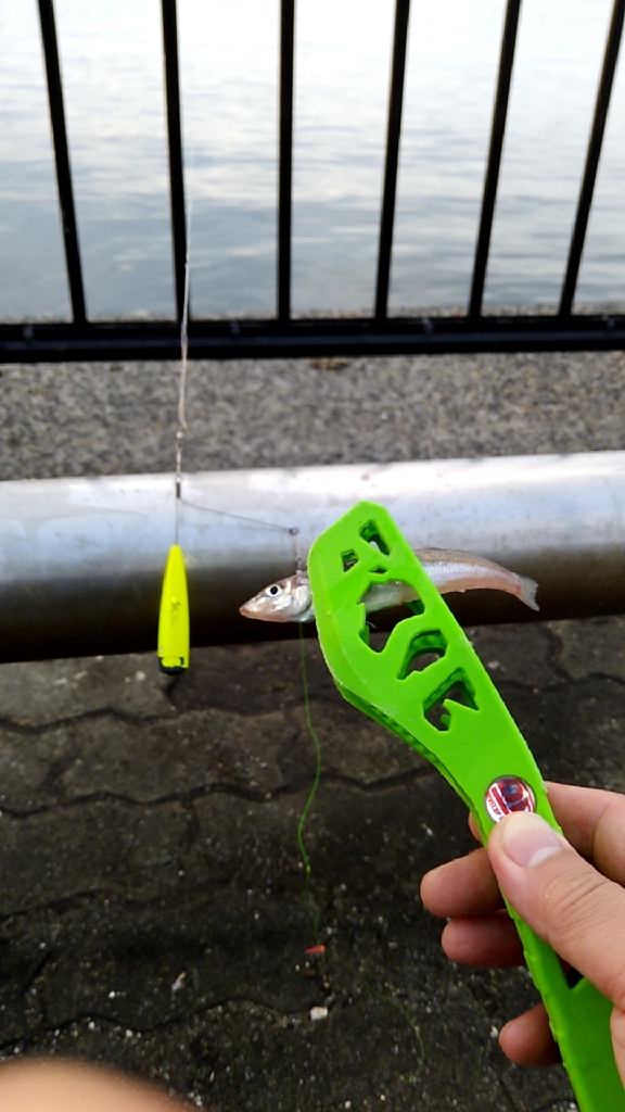 なかなか渋い キス