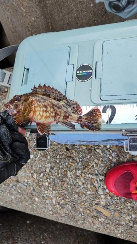 キャッチンググローブ