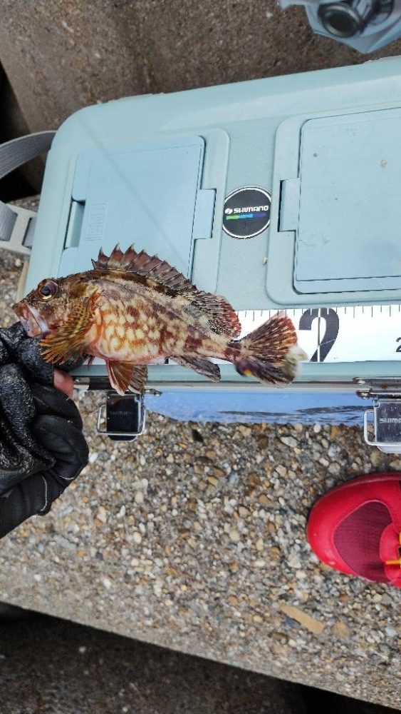 キャッチンググローブ