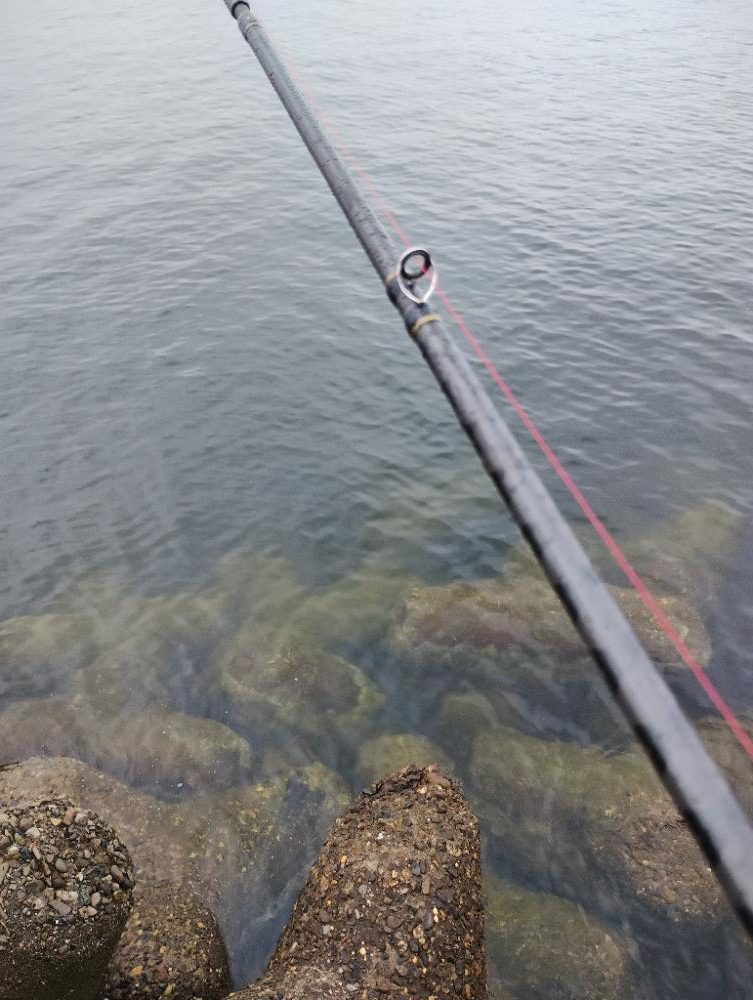 雨の中でタコ釣り