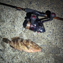 これからに期待