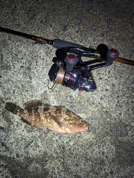 これからに期待