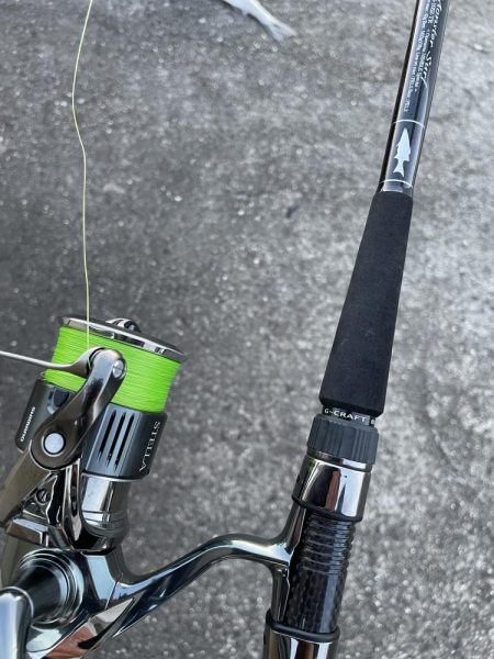 雨上がり 狙い的中‼️