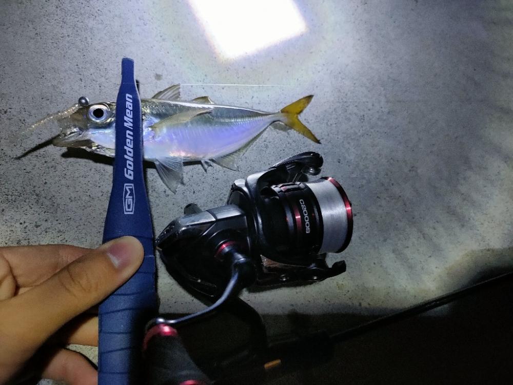 釣りって難しい