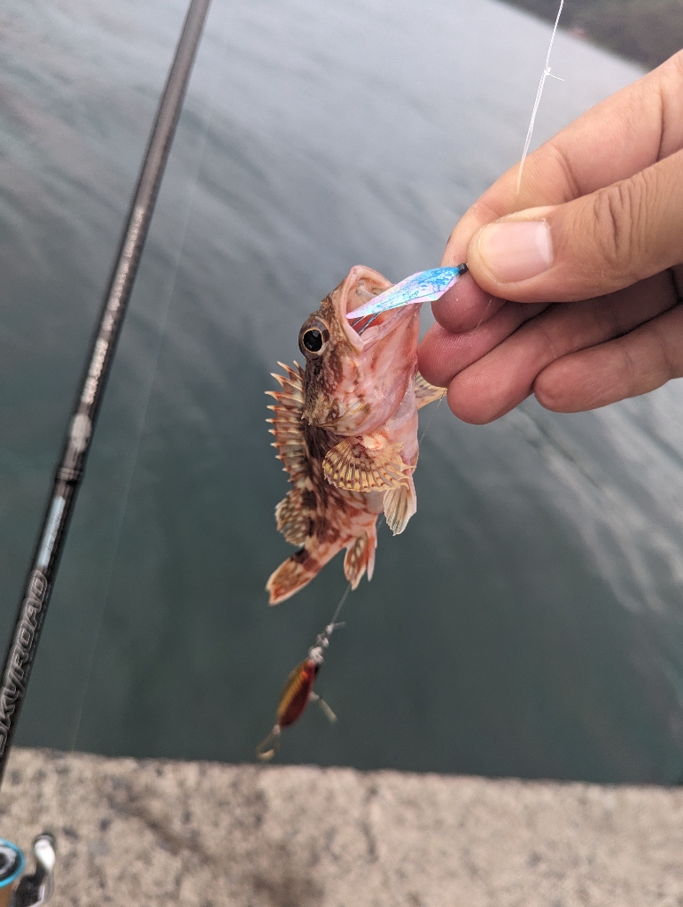 水潮のせいにしておこう